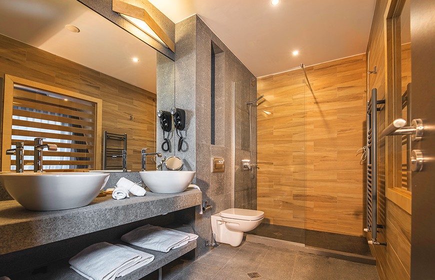 dvoina-staq-delux-arte-spa-park-hotel-6-1