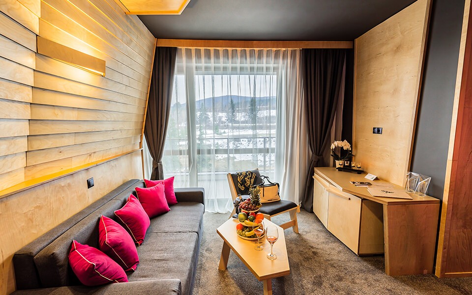 dvoina-staq-delux-panorama-arte-spa-park-hotel-1-1