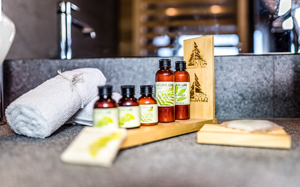 ednospalen-apartment-arte-spa-park-hotel-2