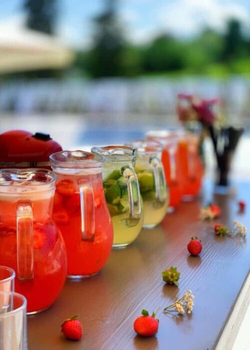 Снимки с плодови лимонади